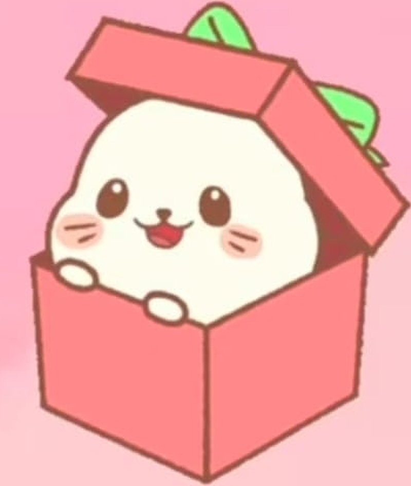Surprise box cat